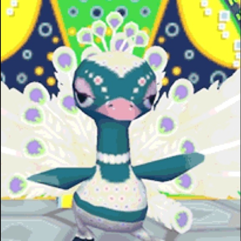 Meet your Posher, Amber